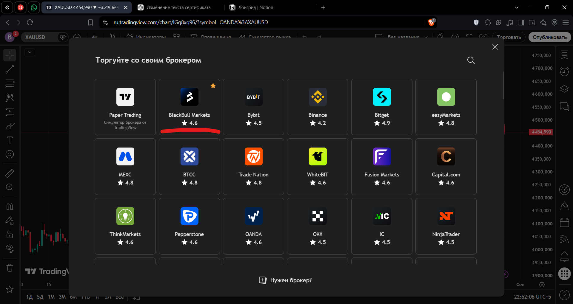 BlackBull Markets в списке брокеров TradingView